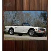 Металлическая табличка Triumph TR6